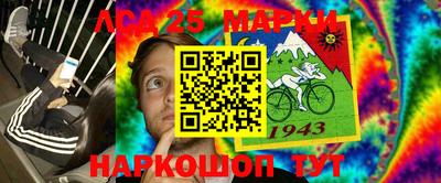 молекула духа Будённовск