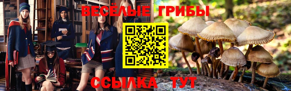 Псилоцибиновые грибы мухоморы Лиски